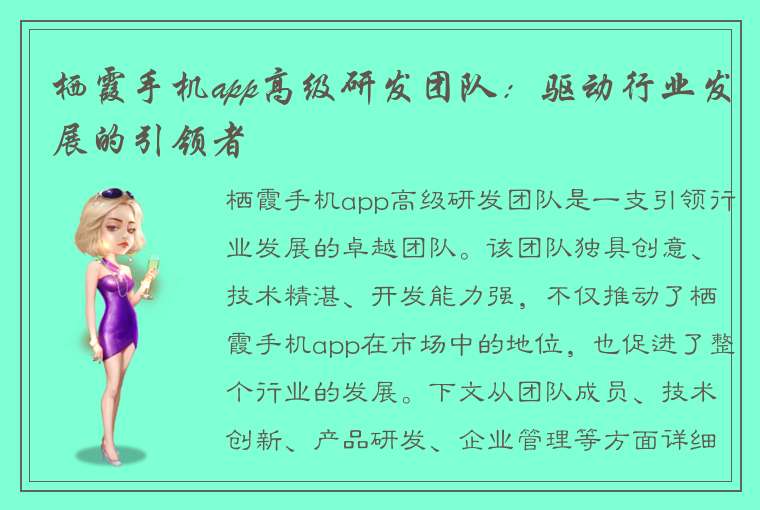 栖霞手机app高级研发团队：驱动行业发展的引领者