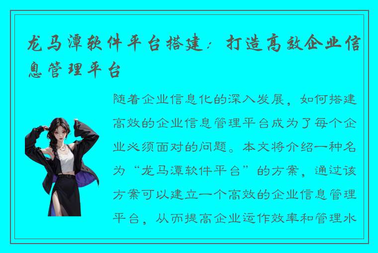 龙马潭软件平台搭建：打造高效企业信息管理平台