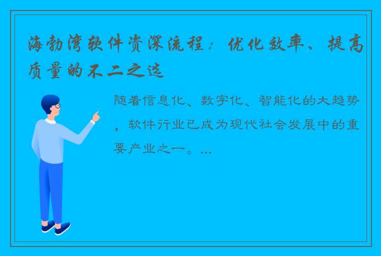 海勃湾软件资深流程：优化效率、提高质量的不二之选