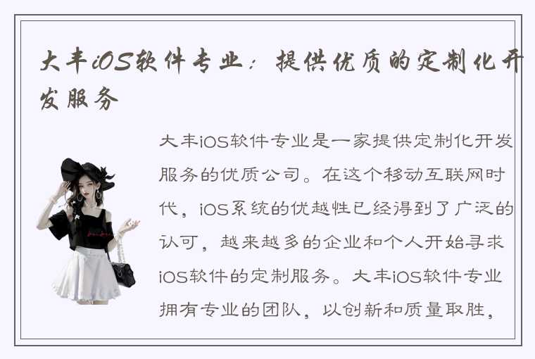 大丰iOS软件专业：提供优质的定制化开发服务