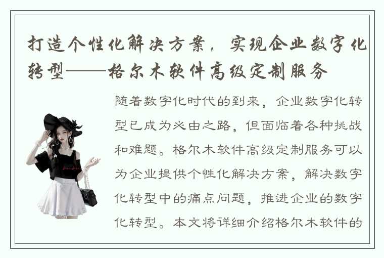 打造个性化解决方案，实现企业数字化转型——格尔木软件高级定制服务