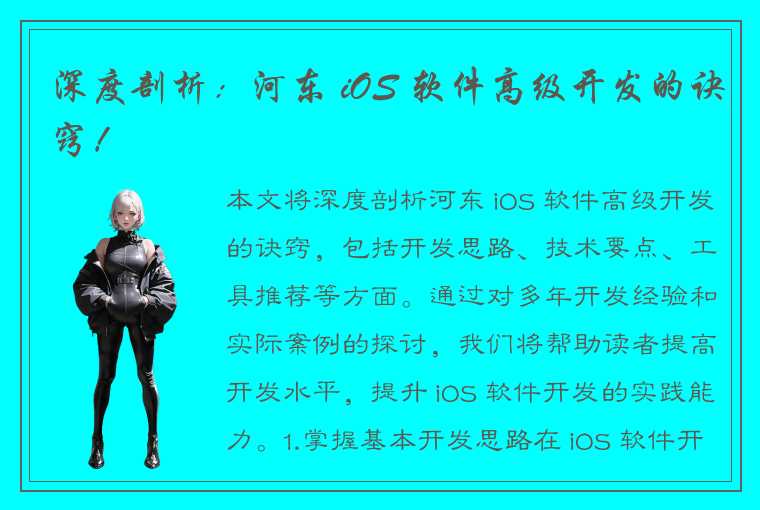 深度剖析：河东 iOS 软件高级开发的诀窍！