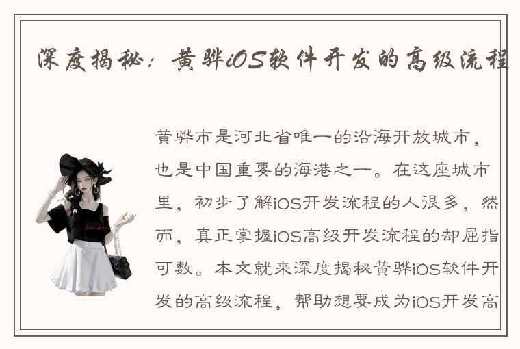 深度揭秘：黄骅iOS软件开发的高级流程