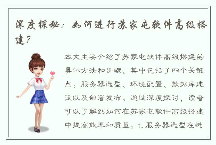 深度探秘：如何进行苏家屯软件高级搭建？