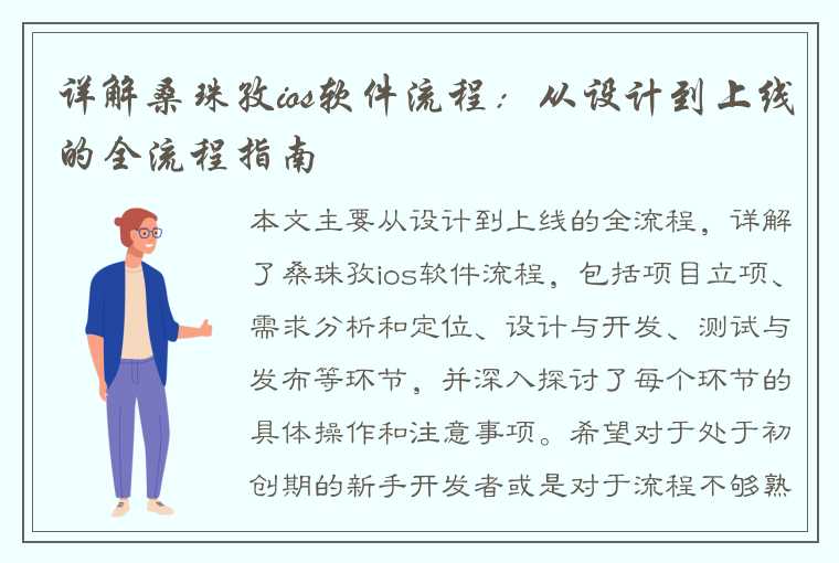 详解桑珠孜ios软件流程：从设计到上线的全流程指南