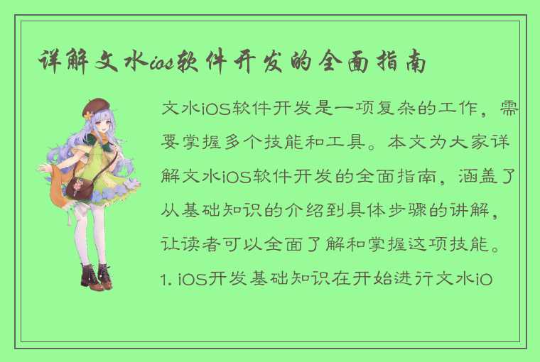 详解文水ios软件开发的全面指南