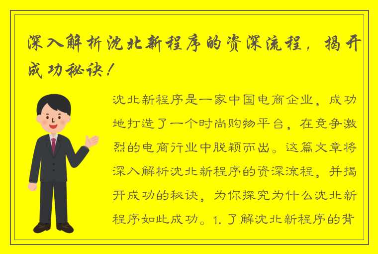 深入解析沈北新程序的资深流程，揭开成功秘诀！