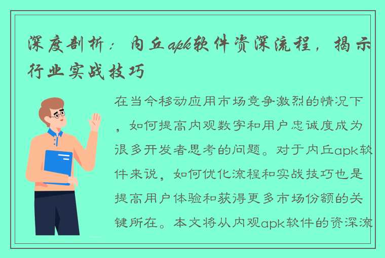 深度剖析：内丘apk软件资深流程，揭示行业实战技巧