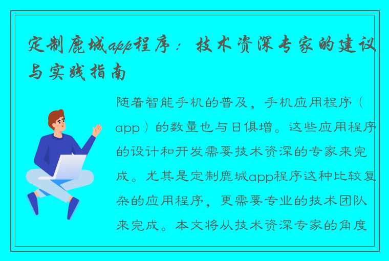 定制鹿城app程序：技术资深专家的建议与实践指南