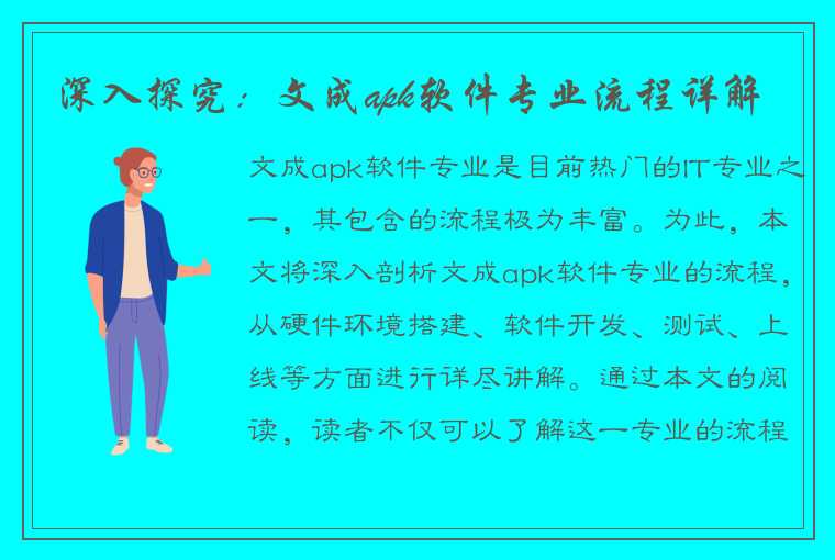 深入探究：文成apk软件专业流程详解