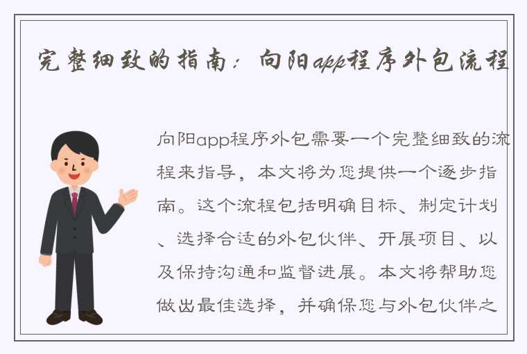 完整细致的指南：向阳app程序外包流程