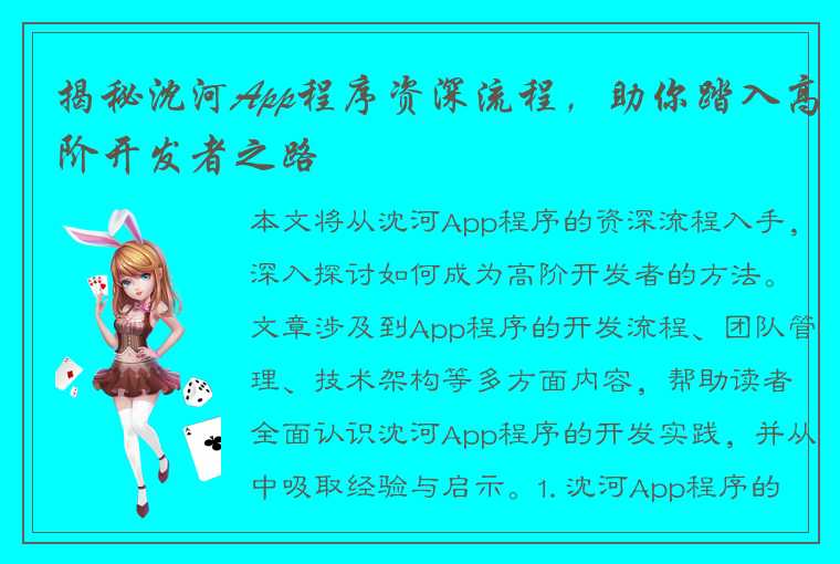 揭秘沈河App程序资深流程，助你踏入高阶开发者之路