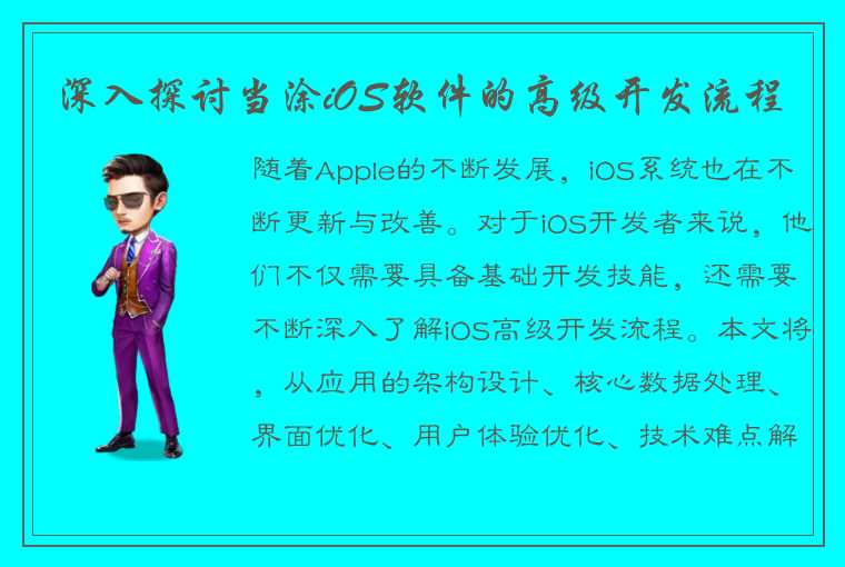 深入探讨当涂iOS软件的高级开发流程