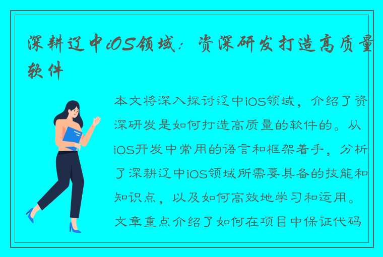 深耕辽中iOS领域：资深研发打造高质量软件