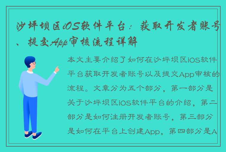 沙坪坝区iOS软件平台：获取开发者账号、提交App审核流程详解