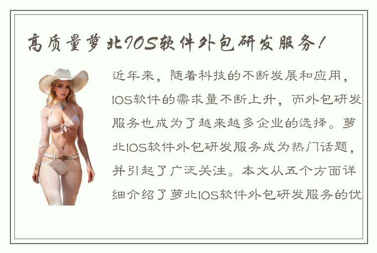 高质量萝北IOS软件外包研发服务！