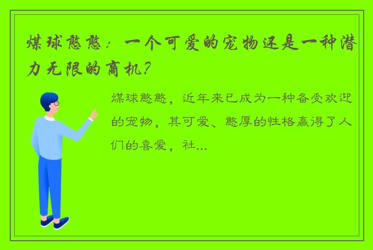 煤球憨憨：一个可爱的宠物还是一种潜力无限的商机？