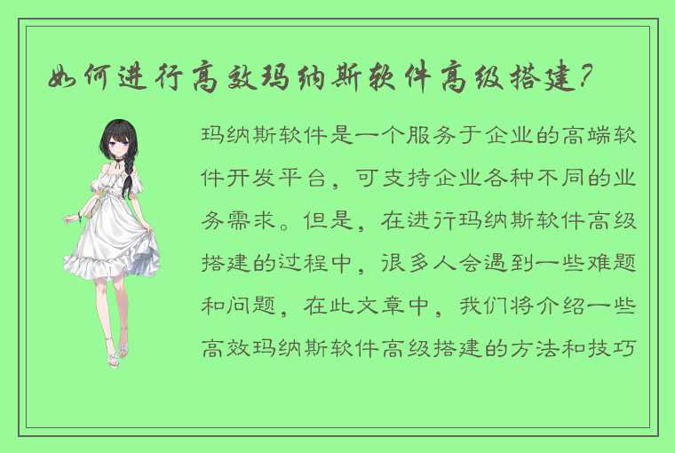 如何进行高效玛纳斯软件高级搭建？