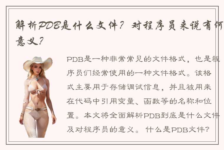 解析PDB是什么文件？对程序员来说有何意义？