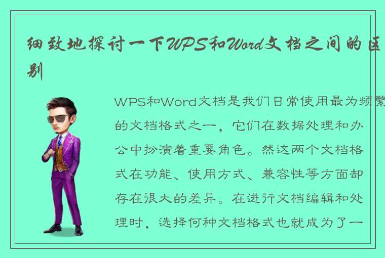 细致地探讨一下WPS和Word文档之间的区别